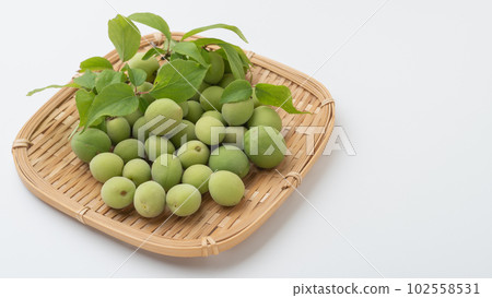 Plum fruit 102558531