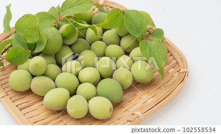 Plum fruit 102558534