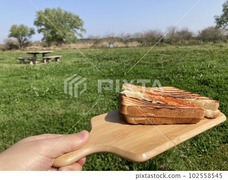 Holiday breakfast in nature 102558545