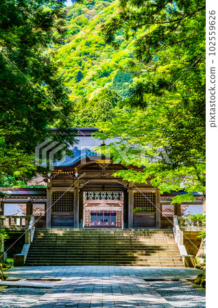 新潟彌彥神社～隨心門～ 102559626