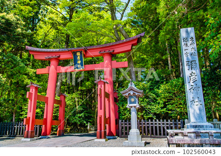 Niigata Yahiko Shrine ~First Torii~ Niigata Yahiko Shrine ~First Torii~ 102560043