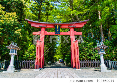 Niigata Yahiko Shrine ~First Torii~ Niigata Yahiko Shrine ~First Torii~ 102560045