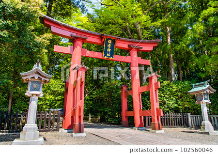 Niigata Yahiko Shrine ~First Torii~ Niigata Yahiko Shrine ~First Torii~ 102560046