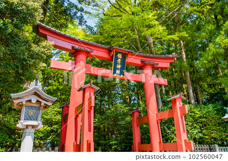 Niigata Yahiko Shrine ~First Torii~ Niigata Yahiko Shrine ~First Torii~ 102560047