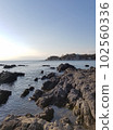 Calm sea and coast on a sunny day 102560336