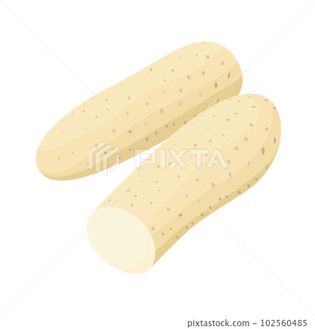 Vector illustration of yam. 102560485