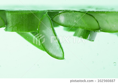 Sliced aloe vera in the water with water drops. Aloe vera slices in aloe vera gel. Alternative beauty treatment. Herbal medicine. Sliced aloe vera in the water with water drops. Aloe vera slices in aloe vera gel. Alternative beauty treatment. Herbal medicine. 102560887
