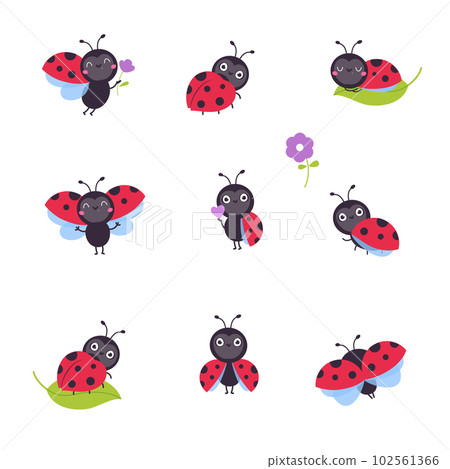 Cute funny ladybugs set. Little ladybird insects in different poses cartoon vector illustration 102561366