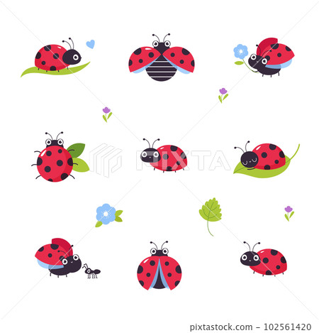 Set of cute ladybugs. Little funny ladybird insects mascots cartoon vector illustration Set of cute ladybugs. Little funny ladybird insects mascots cartoon vector illustration 102561420