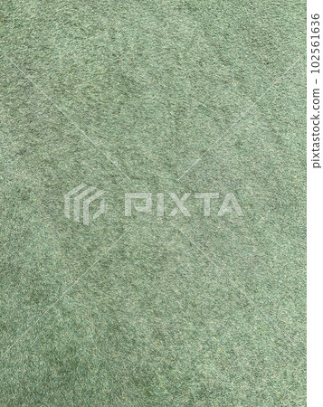 新修剪的草坪 新修剪的草坪 102561636