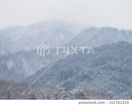 Niigata's winter mountains like ink painting [Tanai City, Niigata Prefecture] 102562828