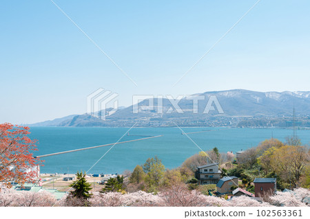 Otaru Temiya park and seascape with cherry blossoms of spring in Hokkaido, Japan 102563361