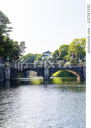 Imperial Palace Spring Double Bridge 102563382