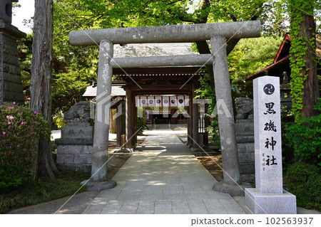 栃木縣那須鹽原市宮町黑磯神社鳥居 栃木縣那須鹽原市宮町黑磯神社鳥居 102563937