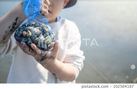 rummaging, manila clam, child 102564187