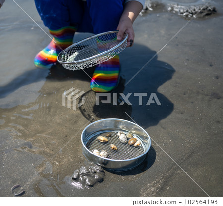 Clamming Clamming 102564193