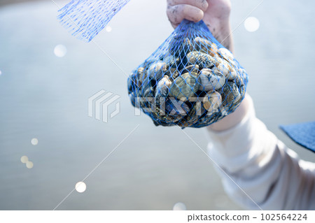 Clamming 102564224
