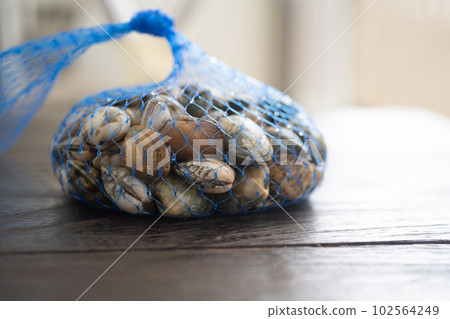 Clamming 102564249
