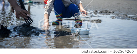 Clamming 102564260