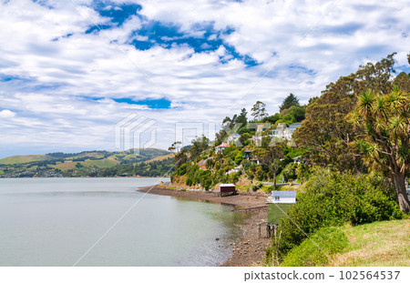 Otago Harbour Dunedin South Island New Zealand 102564537