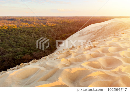 Dune du Pilat, the biggest sand dune in Europe, France. 102564747