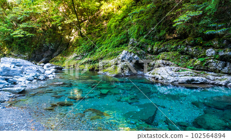 Yasui Valley（Niyodo Blue）：Suishobuchi 102564894