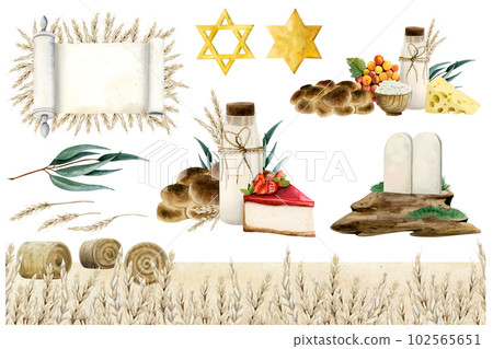 Shavuot greeting template compositions with Jewish symbols. Watercolor illustration set with scroll, tablets wheat field 102565651