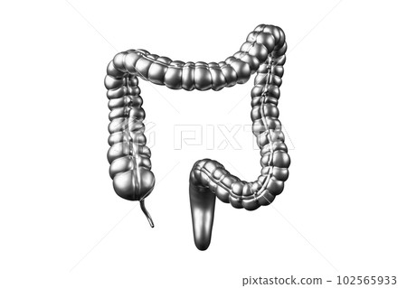 3d illustration of metal human intestine isolated on white background 102565933