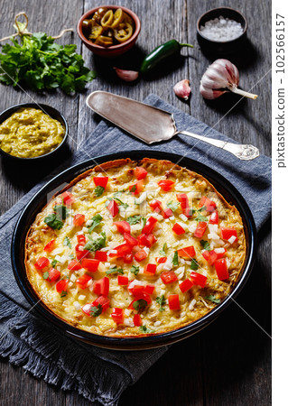 Green Chile Enchilada Casserole in baking dish 102566157