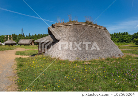 Aomori Sannai Maruyama Ruins Pit dwellings 102566204