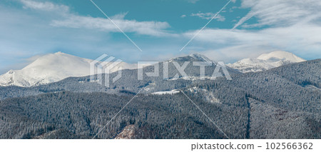 Winter snowy Carpathian mountains, Ukraine 102566362