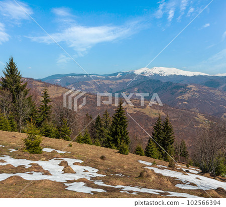 Early spring Carpathian mountains 102566394