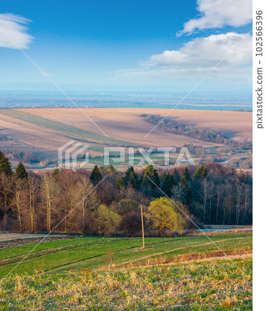 Spring morning rural country landscape with plowed agricultural fields on hills, trees and groves in valleys. Arable and growth farmlands. Spring morning rural country landscape with plowed agricultural fields on hills, trees and groves in valleys. Arable and growth farmlands. 102566396