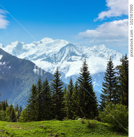 Mont Blanc mountain massif (view from Plaine Joux outskirts) 102567000