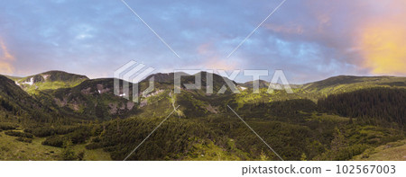 Mountain panorama view with juniper forest and snow remains on ridge in distance. 102567003