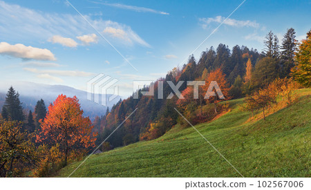 Autumn morning on mountain willage surroundings. Jaremche-Town outskirts, Ivano-Frankivsk Region, Ukraine. 102567006