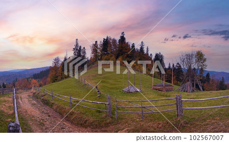 Autumn in mountain farmstead (Jaremche-Town outskirts, Ivano-Frankivsk Region, Ukraine). 102567007