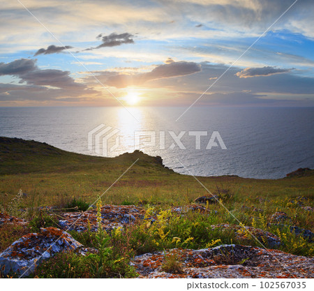 Sunset grassy sea coast view with sunshine reflection path 102567035