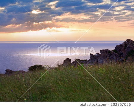 Grasses in prairies near morning summer sea coast 102567036