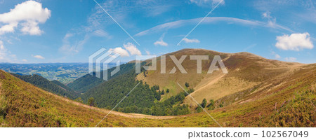 Summer mountain panorama (Ukraine, Carpathian Mountains). 102567049