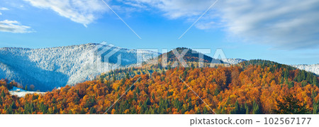 Sunny autumn mountain forest and first autumn frost on trees top (on mountainside). 102567177