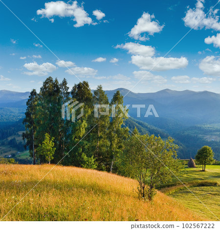 Evening summer mountain landscape 102567222