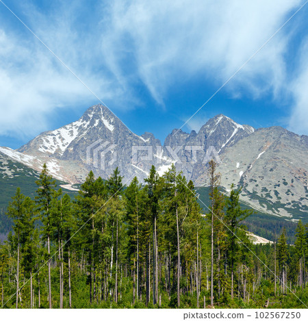 High Tatras (Slovakia) spring view. 102567250