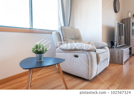 Corner of a cozy living room with a lounge chair with minimalist decoration, with coffee table and flower Corner of a cozy living room with a lounge chair with minimalist decoration, with coffee table and flower 102567324