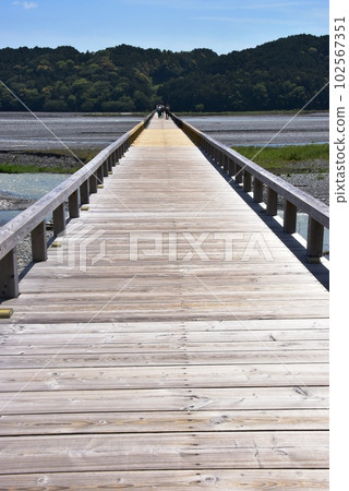 島田市 橫跨大井川和對岸森林的蓬萊橋(南岸) 島田市 橫跨大井川和對岸森林的蓬萊橋(南岸) 102567351