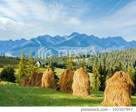 Summer mountain country view 102567947
