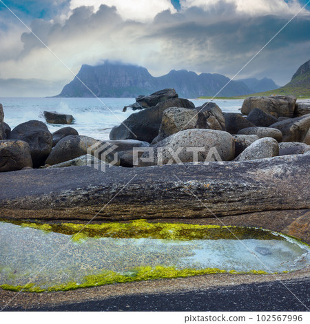 Haukland beach summer view (Norway, Lofoten). 102567996