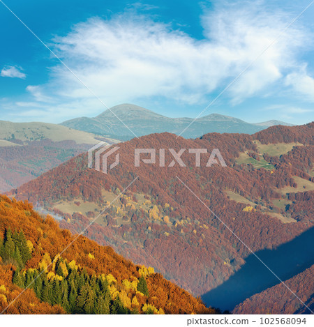 Golden autumn in mountain. Golden autumn in mountain. 102568094