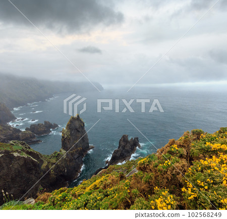 Blossoming Cape Ortegal (Spain). Blossoming Cape Ortegal (Spain). 102568249