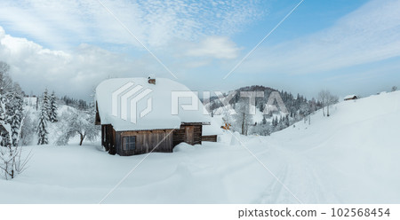 Rustic wooden house in snowdrifts on the slopes in winter Ukrainian Carpathian Mountains in cloudy weather. 102568454